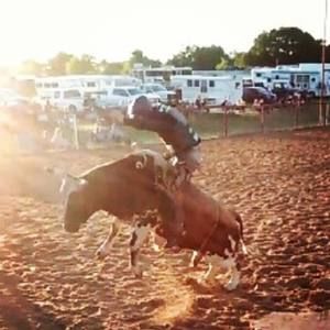 Meet your Posher, Cole